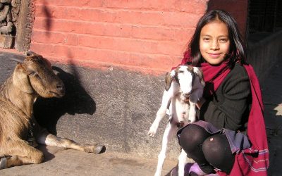 Projekt "mládež pre mládež" v Kátmándu, Nepál