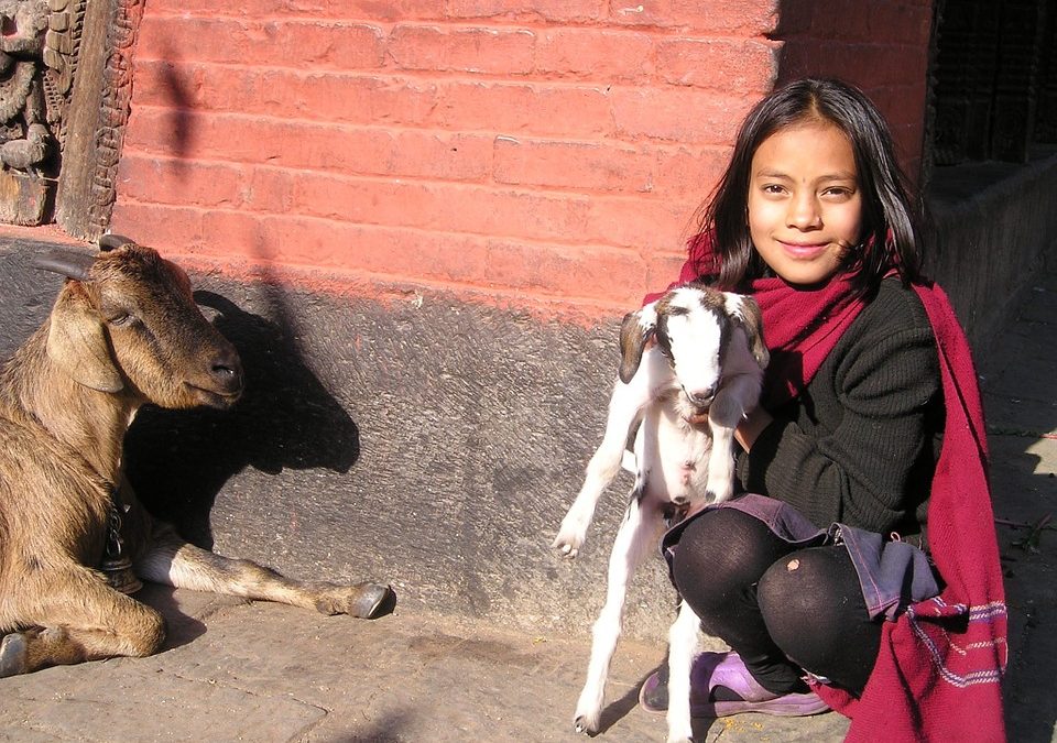 PonukyProjekt "mládež pre mládež" v Kátmándu, Nepál