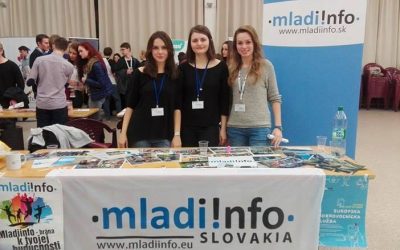 Brigáda v organizácii Mladiinfo Slovensko