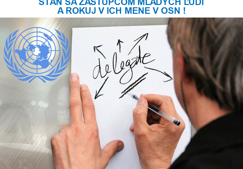 PonukyStaň sa mládežníckym delegátom Slovenska v OSN!